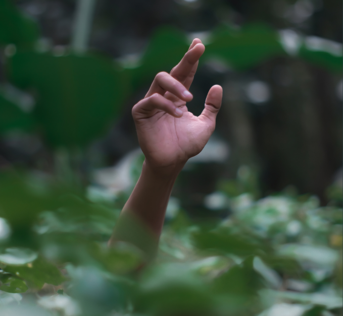 Embracing the Outdoors - Trends Driving the Outdoor Economy