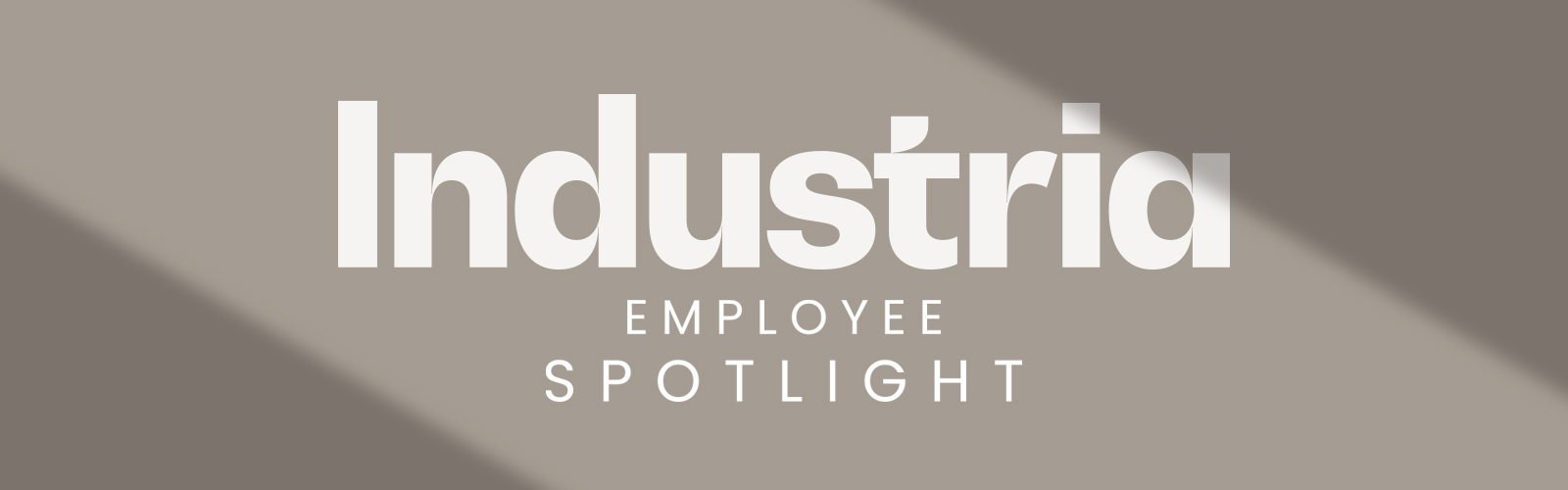 Industria Employee Spotlight: Rohit Wadhwa