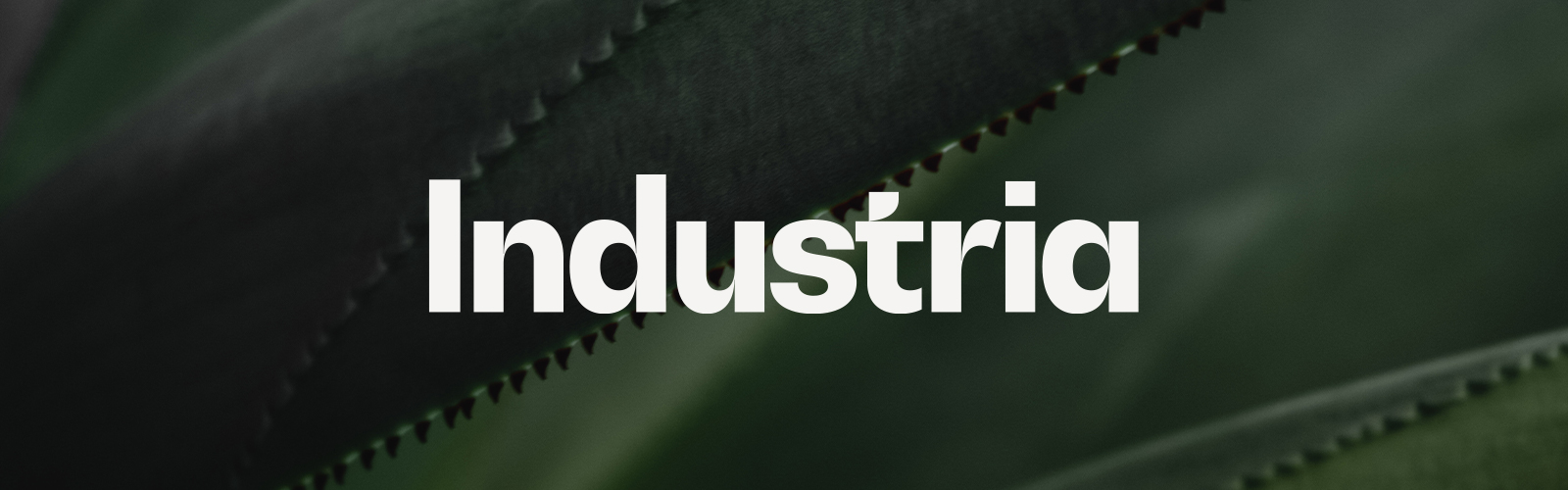 Sustainable Sanctuaries