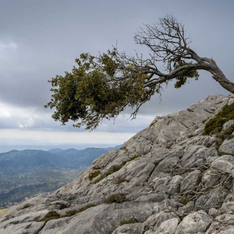 Rethinking Resilience: Lessons from Our Weekly Learning Hour