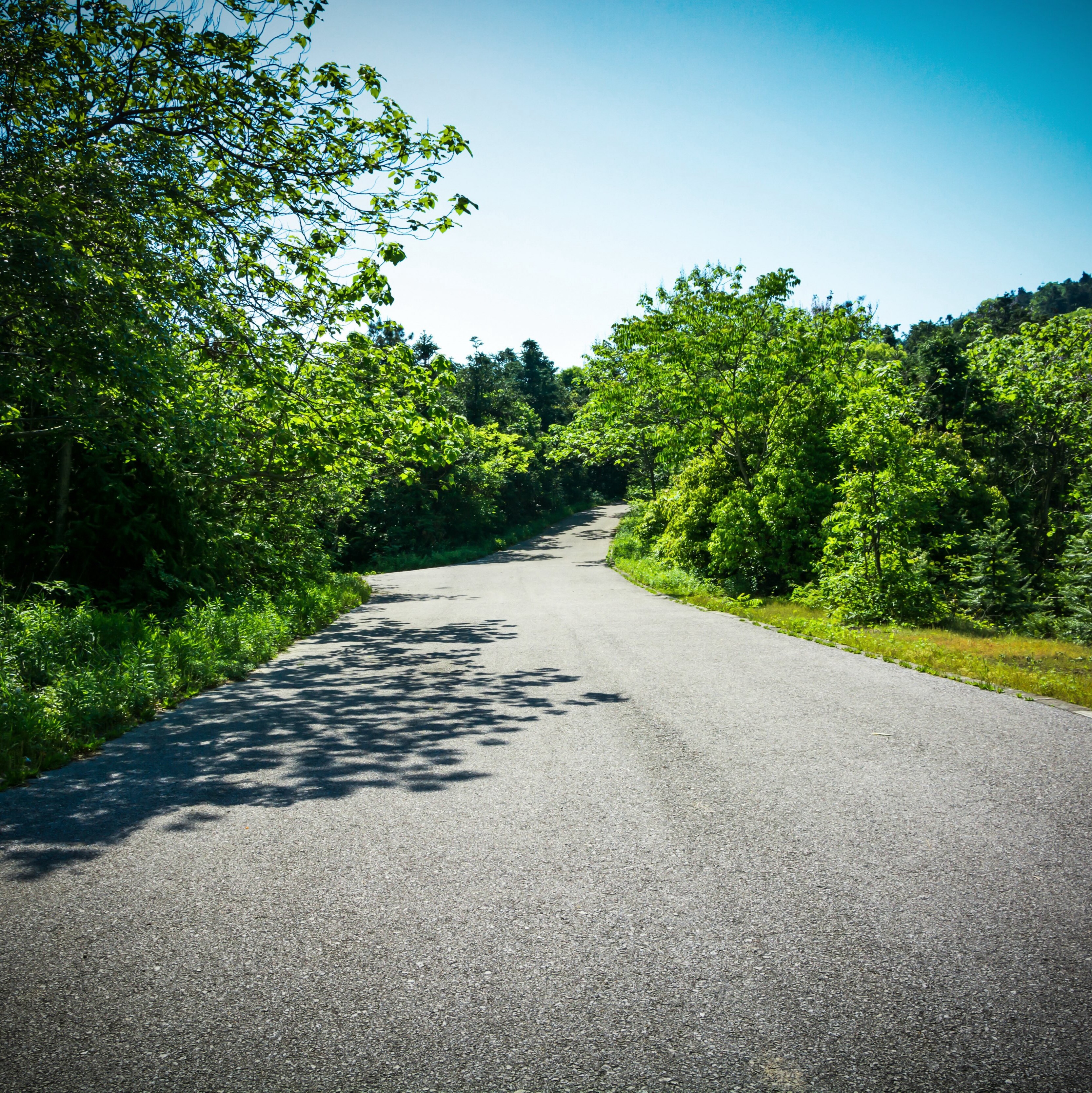 Road Trip Revelations: How a Podcast Changed My Path